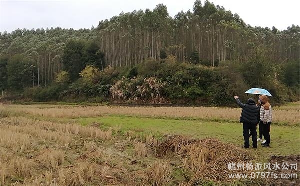 抚顺市陈老师带着爱徒寻龙点穴